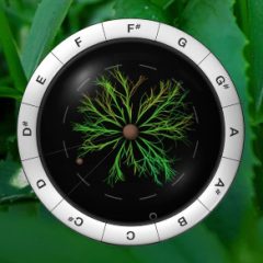 دانلود پلاگین Sonic Charge Synplant v2.0.1-R2R