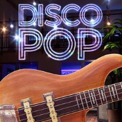 دانلود بانک صدای افزودنی وی اس تی Toontrack Disco Pop EBX v1.0.0
