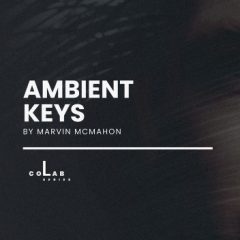 دانلود وی اس تی Inletaudio Ambient Keys KONTAKT