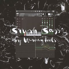 دانلود وی اس تی Wrongtools Brush Bass KONTAKT