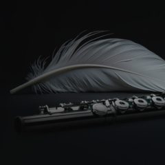 دانلود وی اس تی فلوت ارکسترال Auddict Daniela Mars Concert Flute KONTAKT