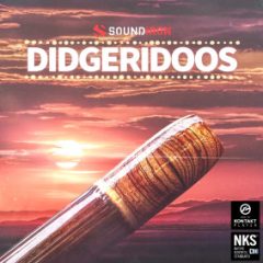 دانلود وی اس تی دیجریدو Soundiron Didgeridoos KONTAKT
