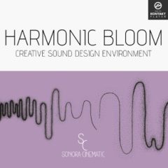 دانلود وی اس تی Sonora Cinematic Harmonic Bloom v1.3 KONTAKT