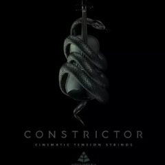 دانلود وی اس تی استرینگ Audio Imperia Constrictor KONTAKT