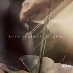 دانلود وی اس تی استرینگ Westwood Instruments Solo Strings Untamed v2.1 KONTAKT