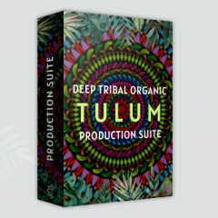 دانلود لوپ و سمپل LotusTunes Tulum Deep Tribal Organic Production Suite WAV MiDi Presets