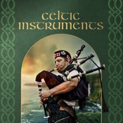 دانلود وی اس تی Big Fish Audio Celtic Instruments KONTAKT