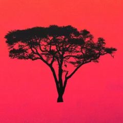 دانلود لوپ و سمپل Production Music Live Afro House Sound Pack Vol.2 MULTiFORMAT