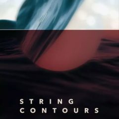دانلود وی اس تی Strezov Sampling String Contours KONTAKT + Update v1.1