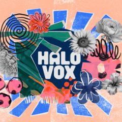 دانلود وی اس تی Native Instruments Halo Vox v1.0.0 KONTAKT