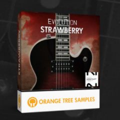 دانلود وی اس تی Orange Tree Samples Evolution Strawberry v1.3.0 KONTAKT