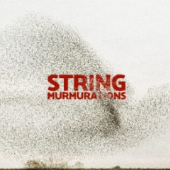دانلود وی اس تی استرینگ The Crow Hill Company String Murmurations v1.1.0-R2R