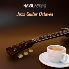 دانلود وی اس تی گیتار Have Audio Jazz Guitar Octaves KONTAKT