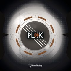 دانلود وی اس تی Musical Sampling PLCK KONTAKT