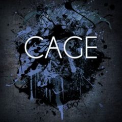 دانلود رایگان وی اس تی ۸DiO CAGE Woodwinds KONTAKT با لینک مستقیم