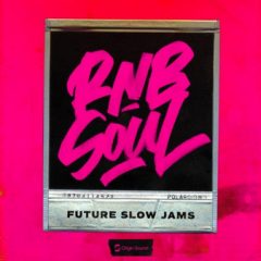 دانلود پکیج لوپ و سمپل Origin Sound RnB Soul: Future Slow Jams WAV