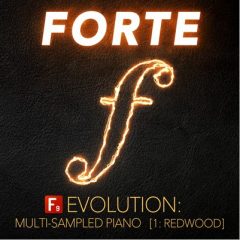 دانلود وی اس تی F9 Audio Forte Evo Redwood Kontakt