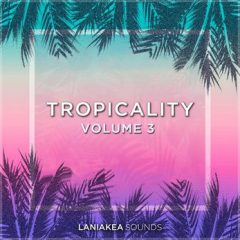 دانلود پکیج لوپ و سمپل Laniakea Sounds Tropicality Volume 3 WAV