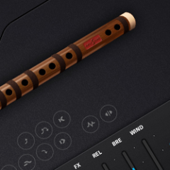 دانلود وی اس تی Ample Sound Ample China Qudi v1.5.1 R2R