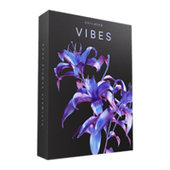 دانلود لوپ و سمپل Cymatics VIBES : Premium Sample Collection + Bonuses WAV MiDi