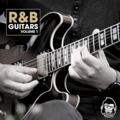 دانلود پکیج لوپ گیتار الکتریک Vanilla Groove Studios RnB Guitars Vol 1 WAV