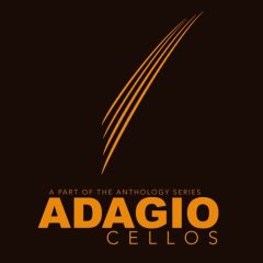 دانلود وی اس تی ویولنسل 8Dio Adagio Cellos 2.0 KONTAKT