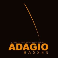 دانلود وی اس تی کنترباس 8Dio Adagio Basses 2.0 KONTAKT