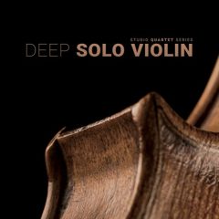 دانلود وی اس تی ویولن 8Dio Studio Quartet Series Deep Solo Violin KONTAKT