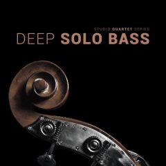 دانلود وی اس تی 8Dio Studio Quartet Series Deep Solo Bass KONTAKT