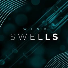 دانلود وی اس تی بادی چوبی Sonixinema Wind Swells v1.0.2 KONTAKT