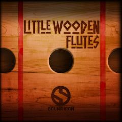 دانلود وی اس تی فلوت Soundiron Little Wooden Flutes KONTAKT