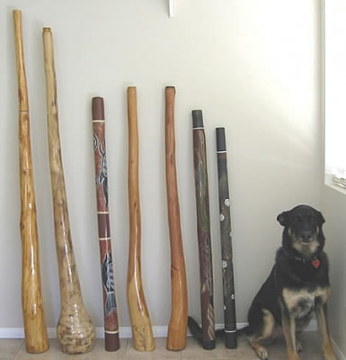 دانلود وی اس تی ساز بومی استرالیا ۸Dio Didgeridoo