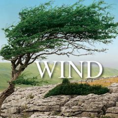 دانلود بانک صدای افکت صوتی Sound Ideas Wind WAV