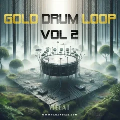 خرید پکیج لوپ درام ( ویژه مارکت ایران ) VFBEAT Gold Drum Loop VOL 2 WAV