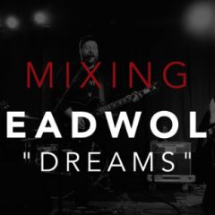 دانلود آموزش میکس David Glenn Mixing Leadwolf Dreams TUTORiAL