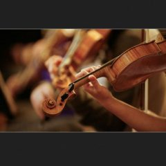 دانلود آموزش ویولن Udemy – Learn the Violin – Scales and Fundamentals TUTORiAL