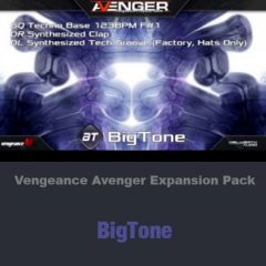 دانلود اکسپنشن وی اس تی Vengeance Avenger Expansion Pack BigTone