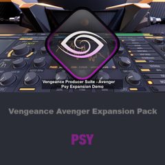 دانلود اکسپنشن وی اس تی Vengeance Avenger Expansion Pack PSY