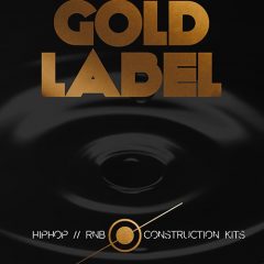 دانلود بانک صدای Big Fish Audio Gold Label Hip Hop and RnB MULTiFORMAT