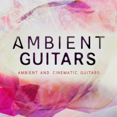 دانلود بانک صدای Dieguis Productions Ambient Guitars KONTAKT MULTiFORMAT
