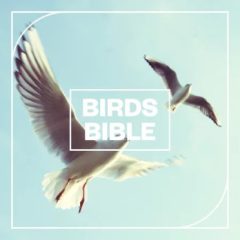 دانلود بانک صدای افکت صوتی پرنده Blastwave FX Birds Bible WAV