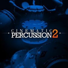 دانلود بانک صدای پرکاشن سینمایی Big Fish Audio Cinematic Percussion 2 WAV – KONTAKT