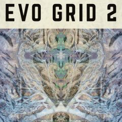 دانلود رایگان وی اس تی استرینگ Spitfire Audio PP020 Evo Grid 2 Kontakt