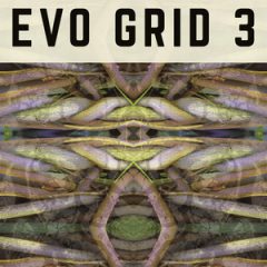 دانلود رایگان وی اس تی استرینگ Spitfire Audio PP021 Evo Grid 3 KONTAKT