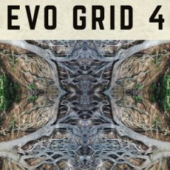 دانلود رایگان وی اس تی بادی چوبی Spitfire Audio PP025 Evo Grid 4 KONTAKT