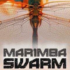 دانلود رایگان وی اس تی ماریمبا spitfire audio Marimba Swarm kontakt