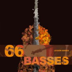 دانلود وی اس تی کنترباس ۸dio Legion Series: 66 Bass Ensemble KONTAKT