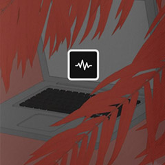 دانلود رایگان پک درام کیت ترپ WavSupply Nick Mira – Bodega (Drum Kit) WAV