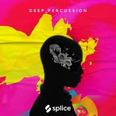 دانلود سمپل پک پرکاشن Splice Sessions Deep Percussion WAV