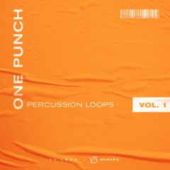 دانلود سمپل پک پرکاشن هیپ هاپ shanks. x Ty Leon One Punch Percussion Loops Vol.1 WAV
